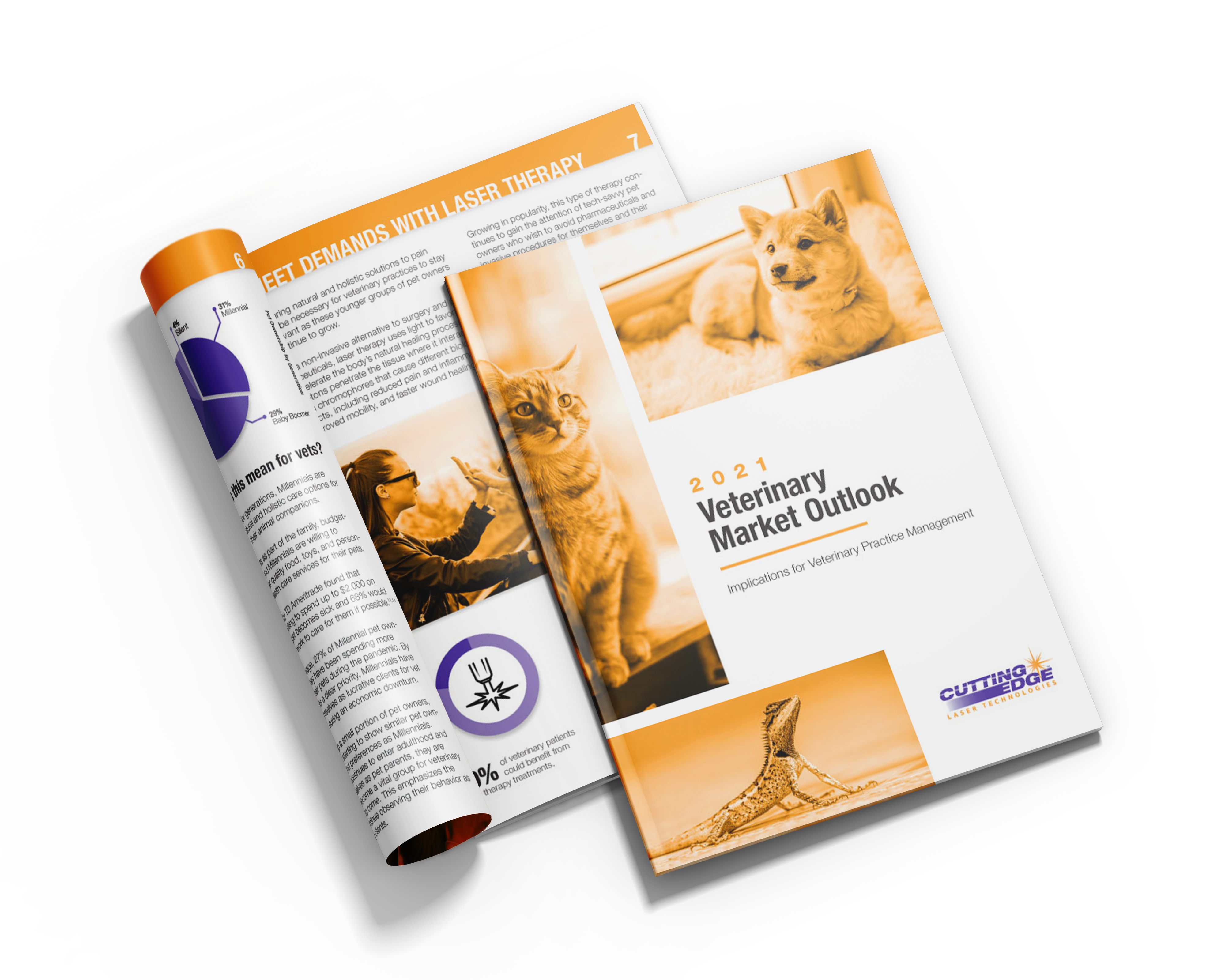 2021 Veterinary Market Outlook with Transparent Background